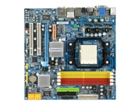 Gigabyte GA-MA69GM-S2H